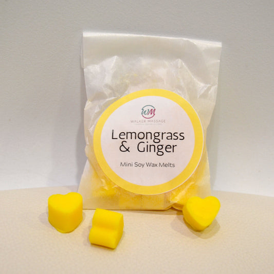 Lemongrass & Ginger - Mini Wax Melt Hearts Bag